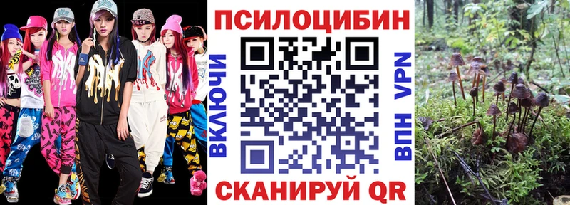 Псилоцибиновые грибы Magic Shrooms  Купить где  Мирный 